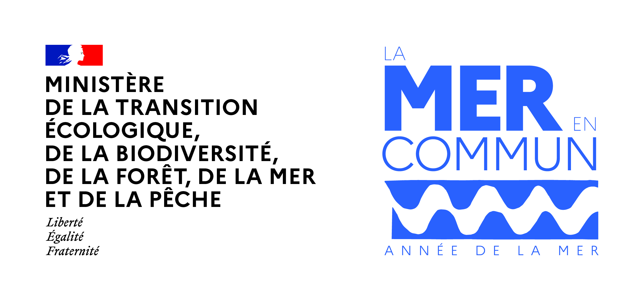 la mer en commun